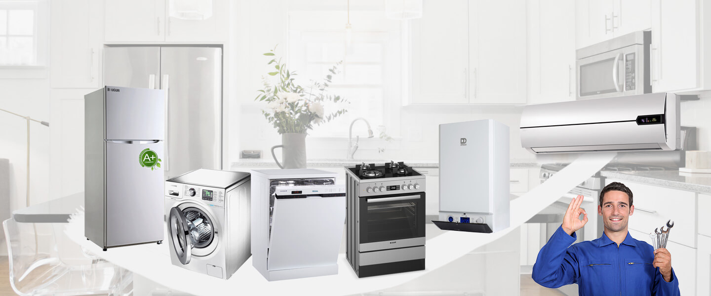 Pazar Warmhaus Servisi